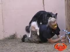 A young whore trapped in bdsm handcuffs while getting raped by a combative service brute